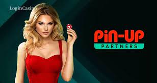 PIN-UP İdman Kitabı Rəyləri